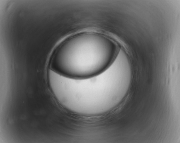 X0000099981272200805231015
