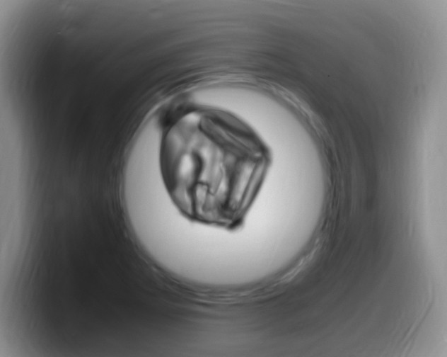X0000099981273200805231015