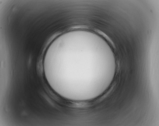 X0000099981274200805231015