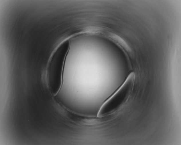 X0000099981276200805231015