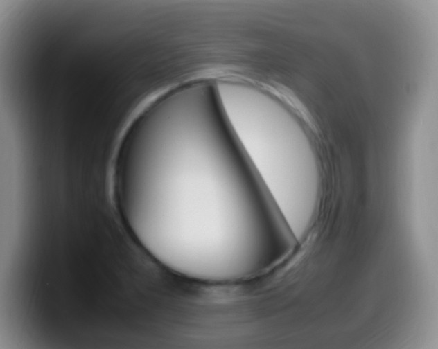 X0000099981277200805231015
