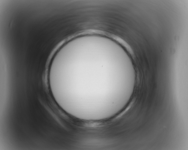 X0000099981278200805231015