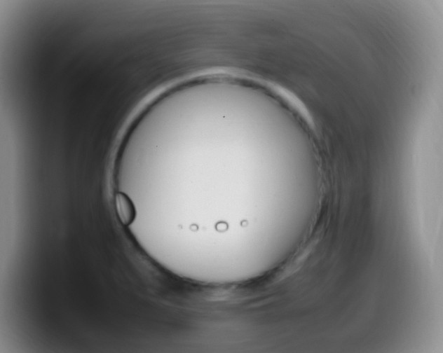 X0000099981279200805231015