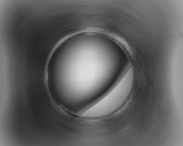X0000099981280200805231015
