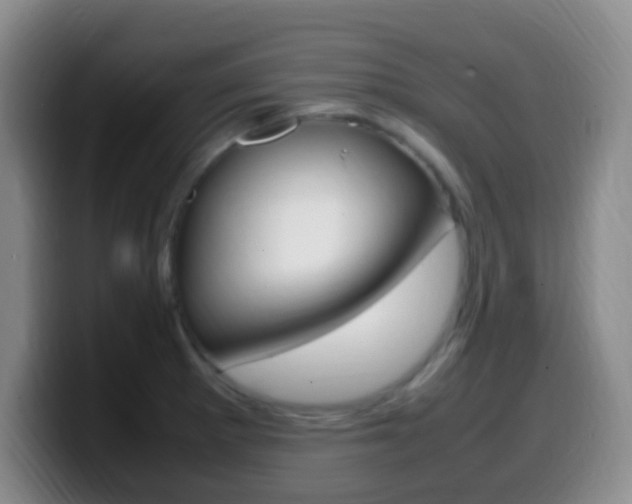 X0000099981281200805231015