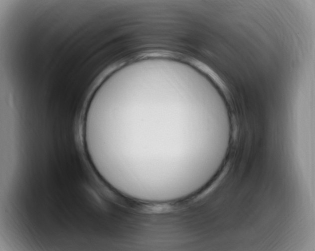 X0000099981282200805231015