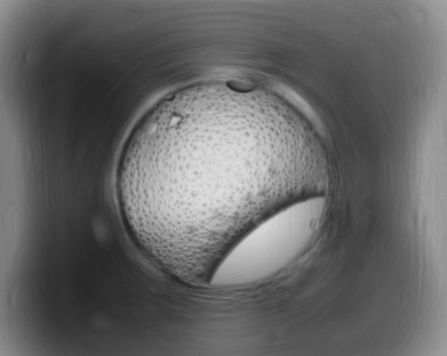 X0000099981283200805231015