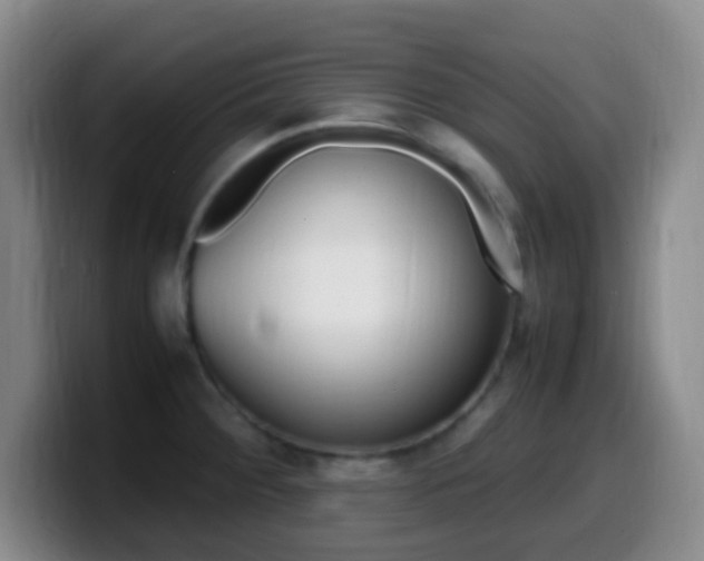 X0000099981284200805231015