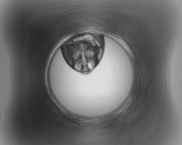 X0000099981285200805231015