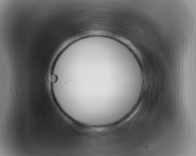 X0000099981286200805231015