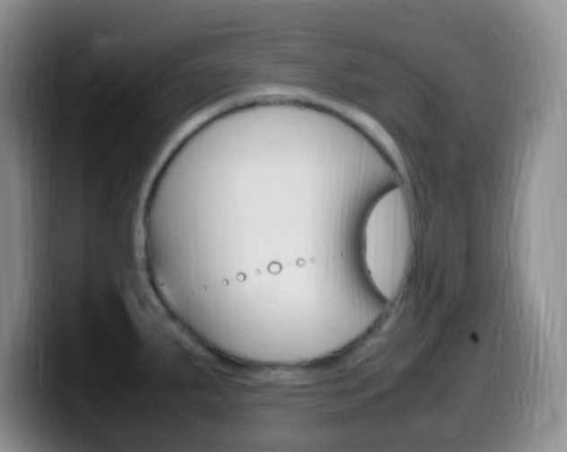 X0000099981287200805231015
