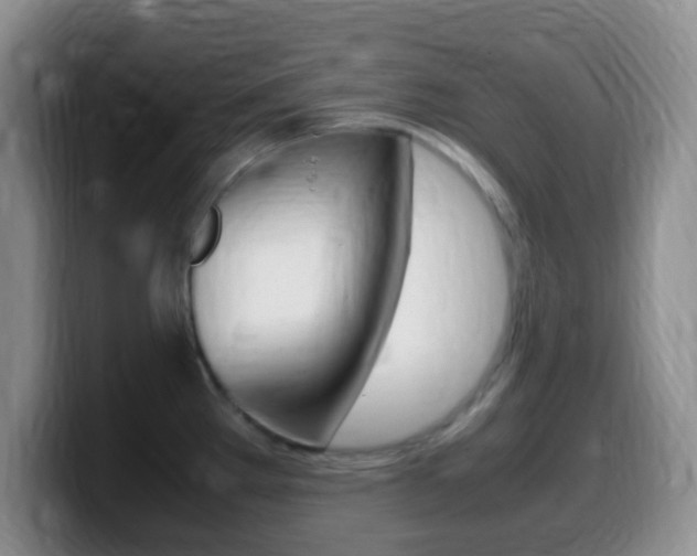 X0000099981289200805231015