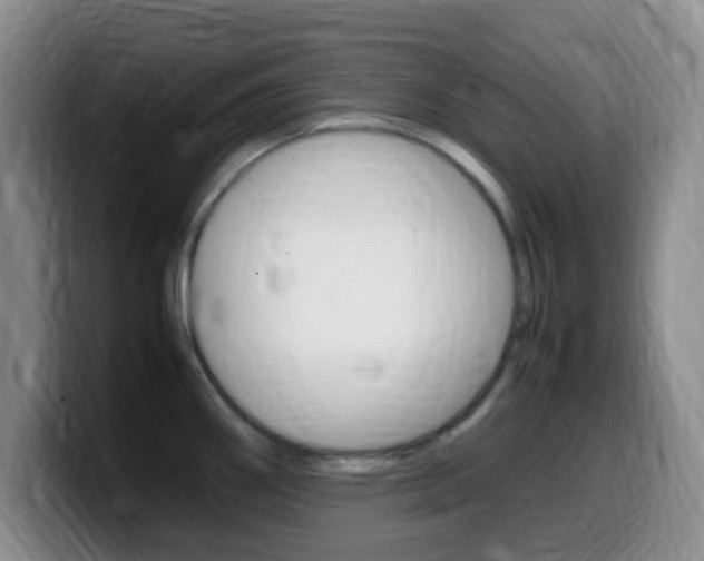 X0000099981290200805231015