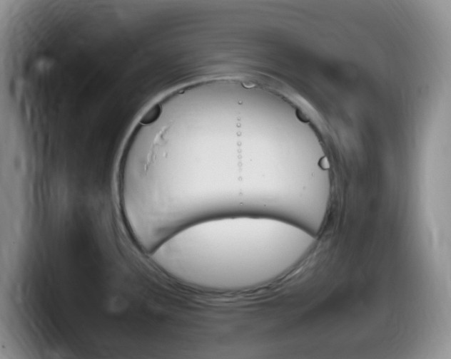 X0000099981291200805231015