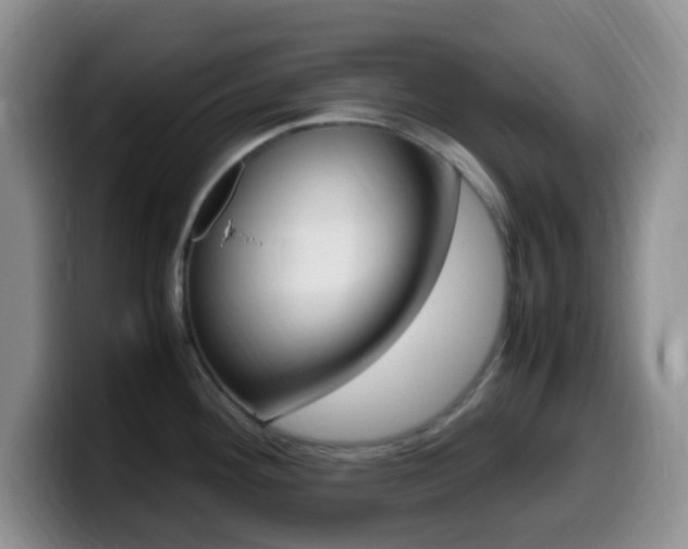 X0000099981292200805231015