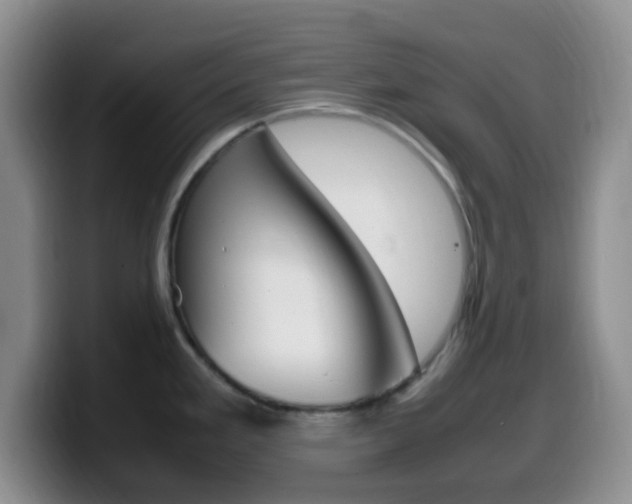 X0000099981293200805231015