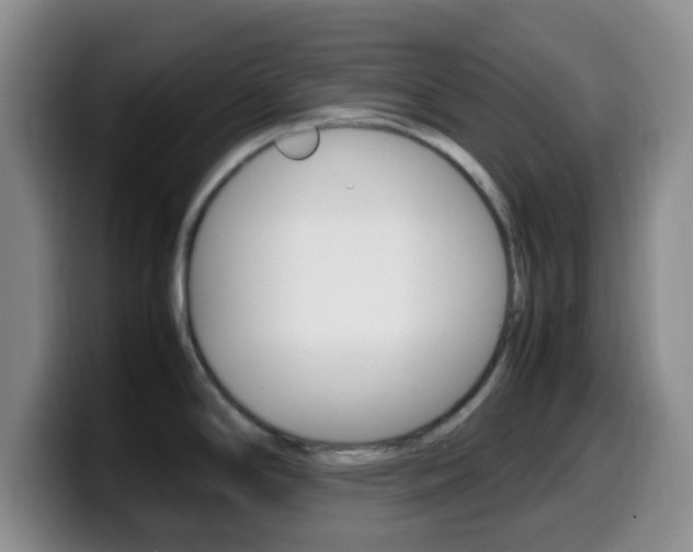 X0000099981294200805231015