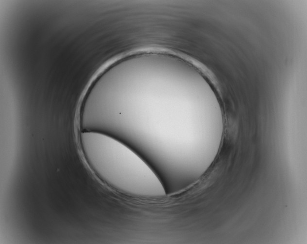 X0000099981295200805231015