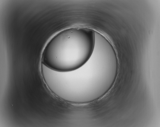 X0000099981296200805231015