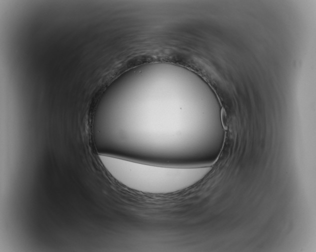 X0000099981298200805231014