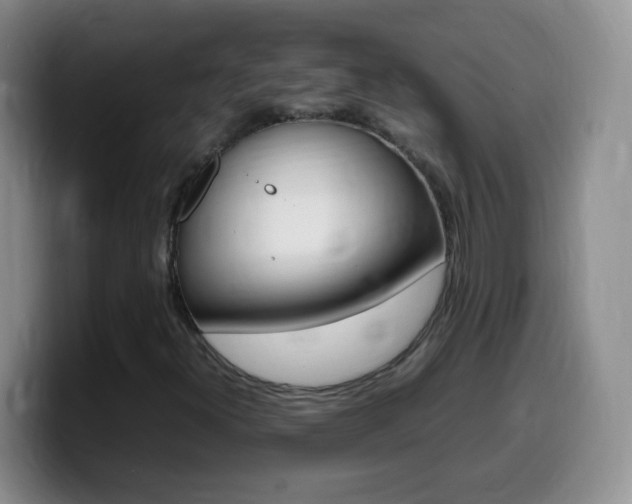 X0000099981300200805231014
