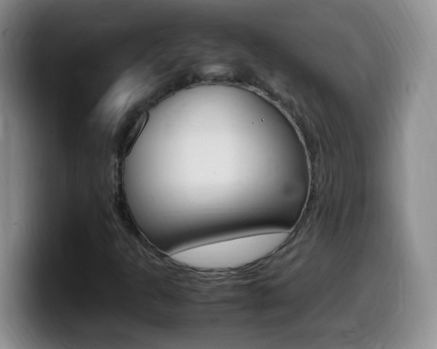 X0000099981301200805231014
