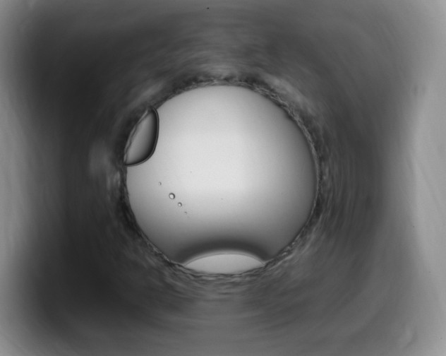 X0000099981302200805231014
