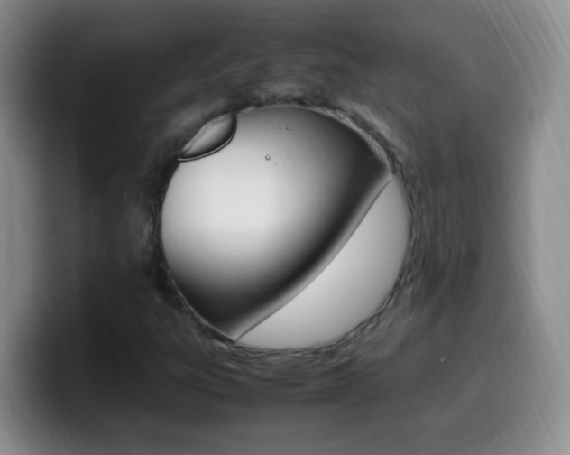 X0000099981303200805231014