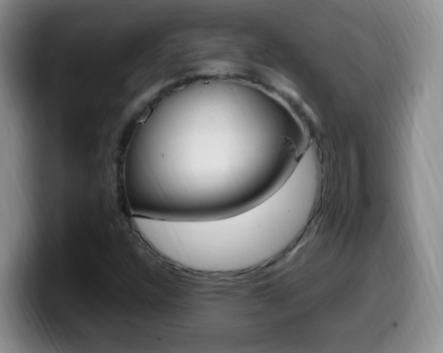 X0000099981304200805231014