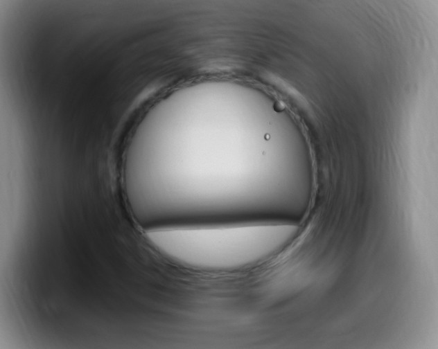 X0000099981306200805231014