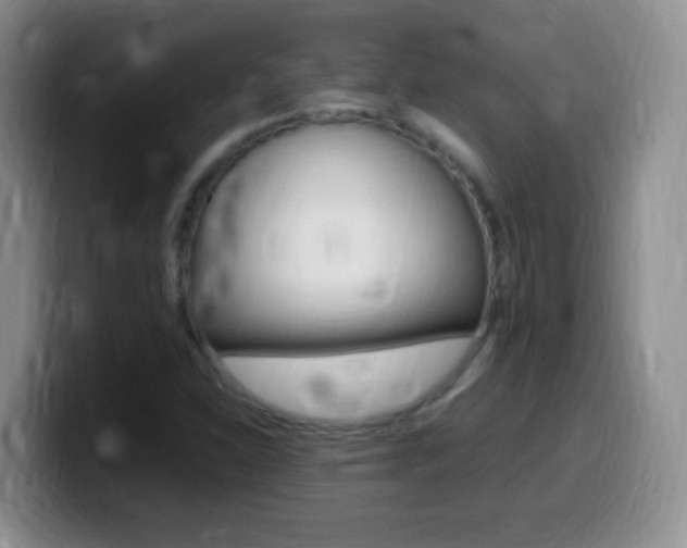 X0000099981310200805231014