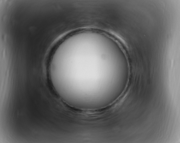 X0000099981311200805231014