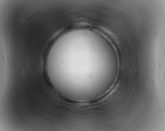 X0000099981313200805231014