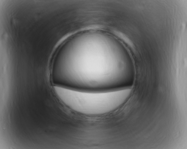 X0000099981316200805231015