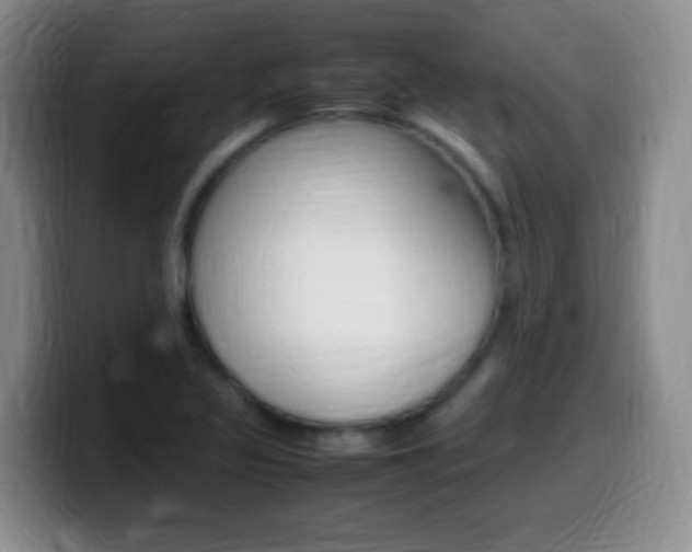 X0000099981317200805231015