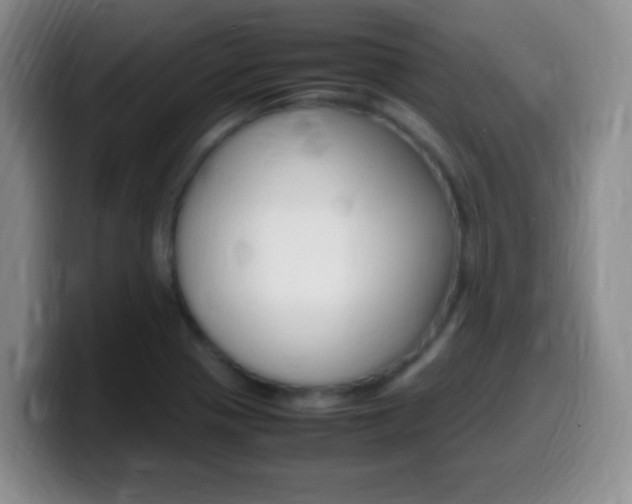 X0000099981321200805231015