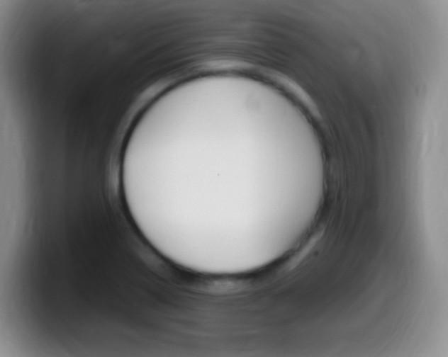 X0000099981322200805231015
