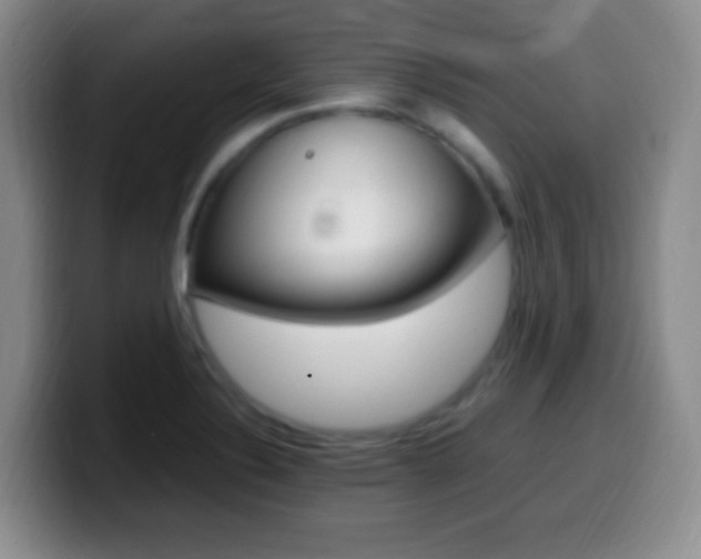 X0000099981324200805231015