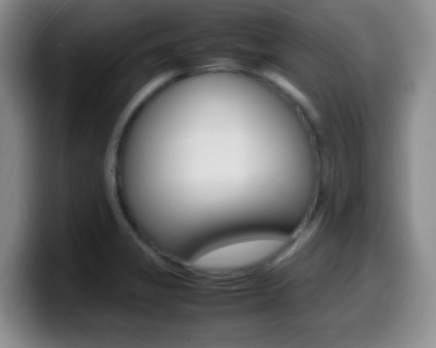X0000099981325200805231015