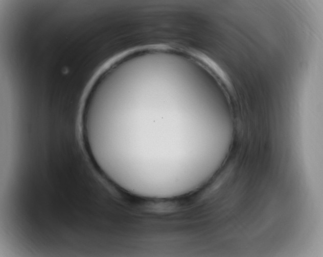 X0000099981327200805231015