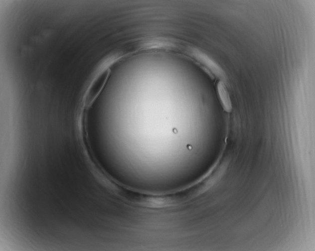 X0000099981330200805231015