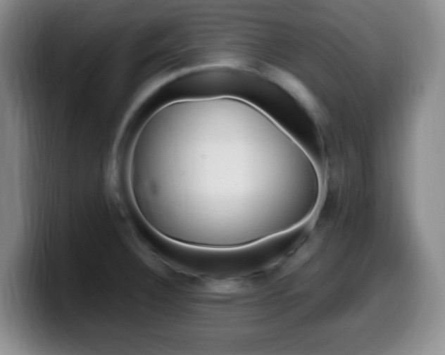 X0000099981332200805231015