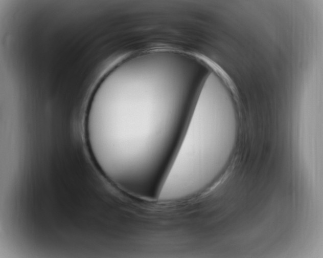 X0000099981333200805231015