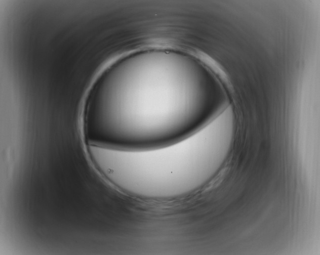 X0000099981334200805231015