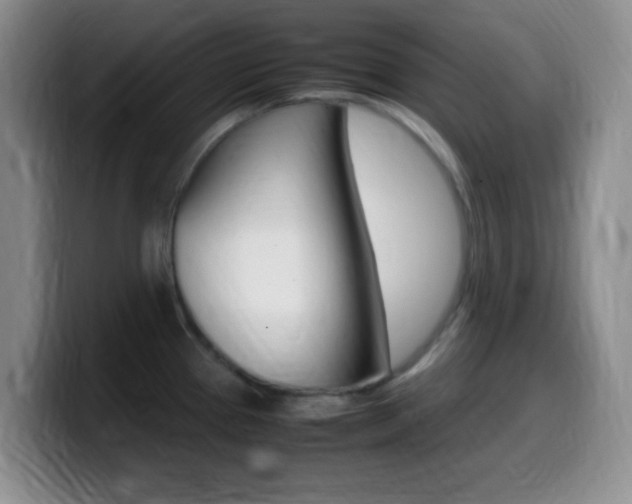 X0000099981337200805231015