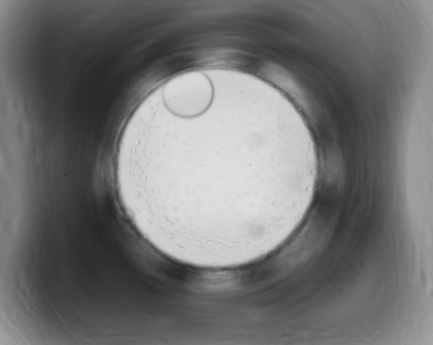 X0000099981338200805231015