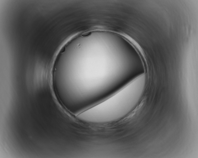 X0000099981341200805231015