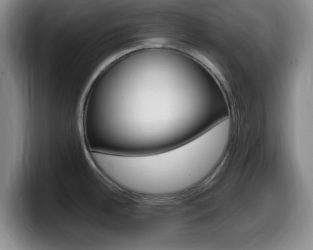 X0000099981342200805231015