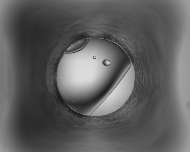 X0000099981345200805231014