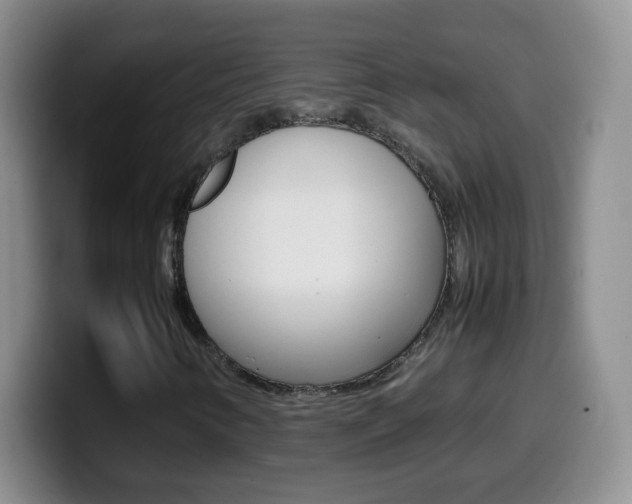 X0000099981346200805231014